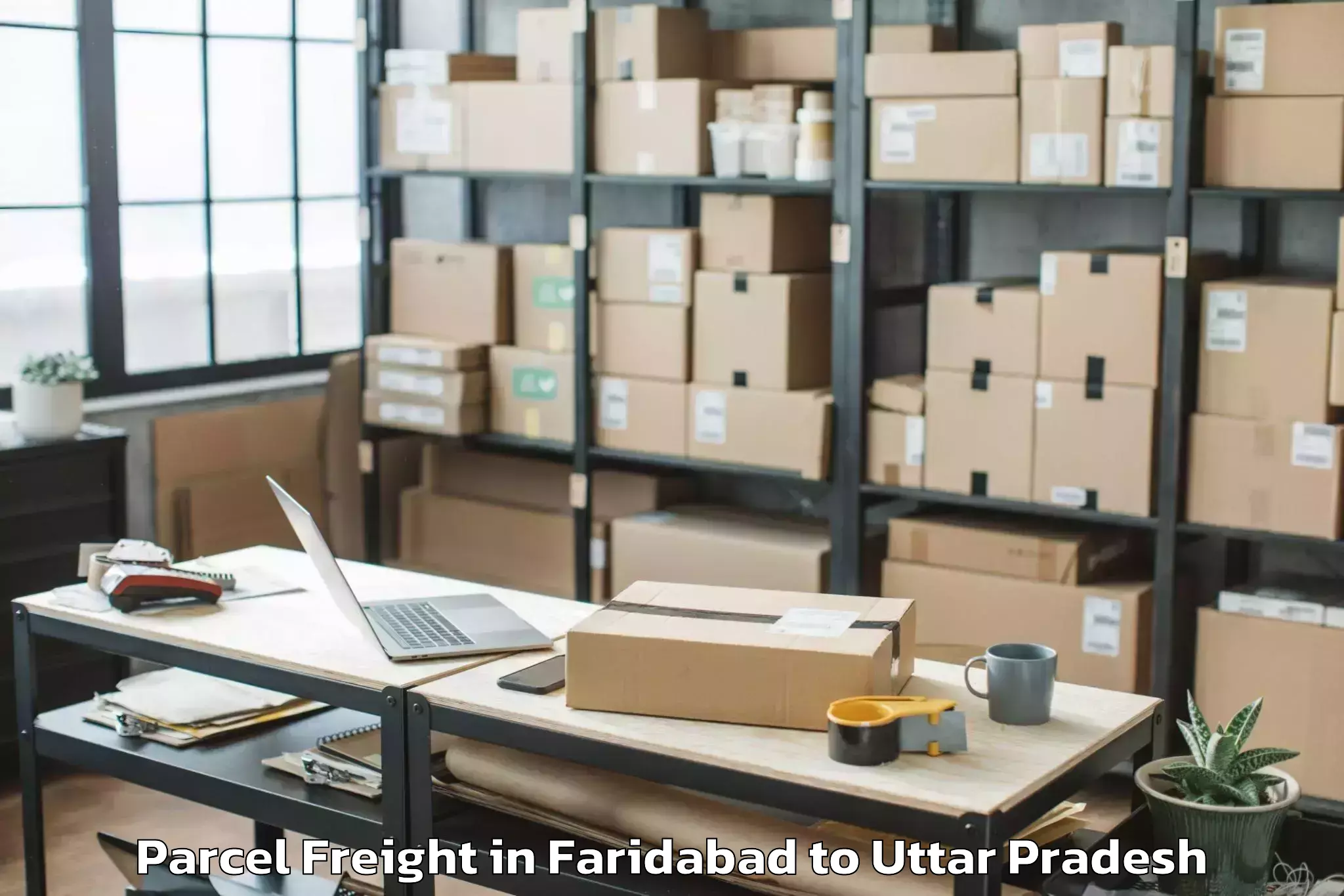 Faridabad to Mohanlalganj Parcel Freight Booking